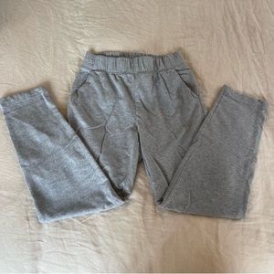 Aritzia Babaton Weekender Pants
